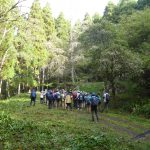 １１月４日（月・休）JRハイキング（紅葉の山に己高山仏教の史蹟を訪ねる）樹齢1000年の逆杉を訪ねるトレッキング